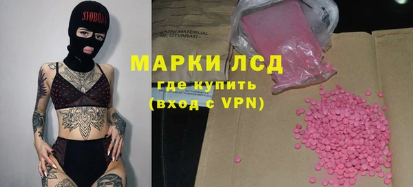 apvp Гусев