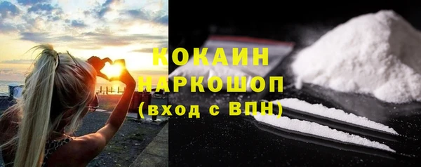 apvp Гусев