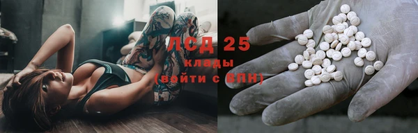 apvp Гусев