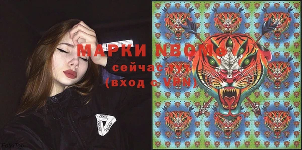 apvp Гусев